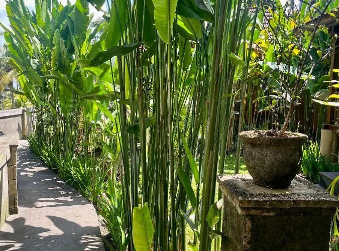 Villa The Banana's Kumbe